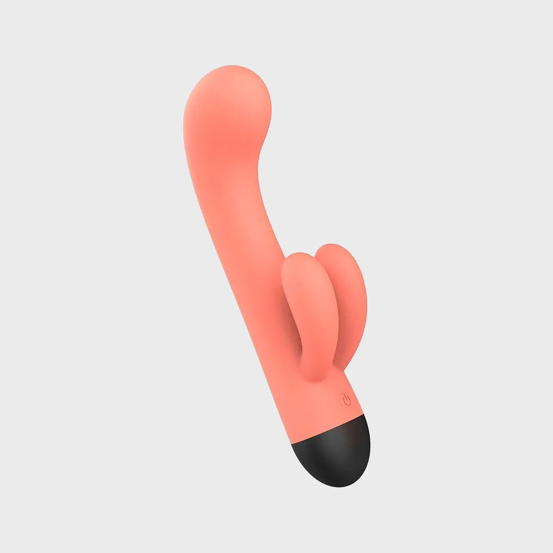 Paula 5
